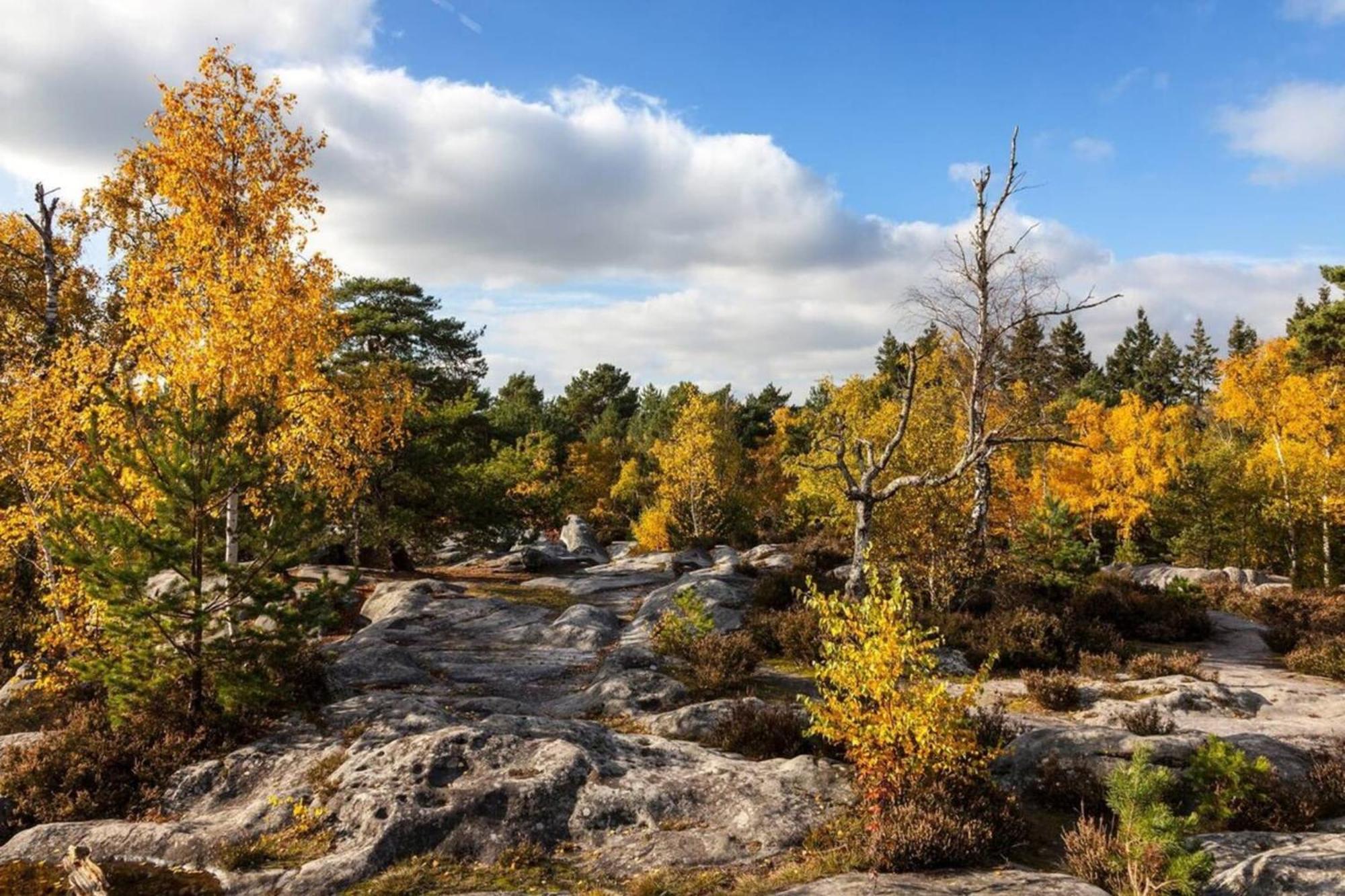 Апартаменты Fontainebleau - Chez Andrea Экстерьер фото